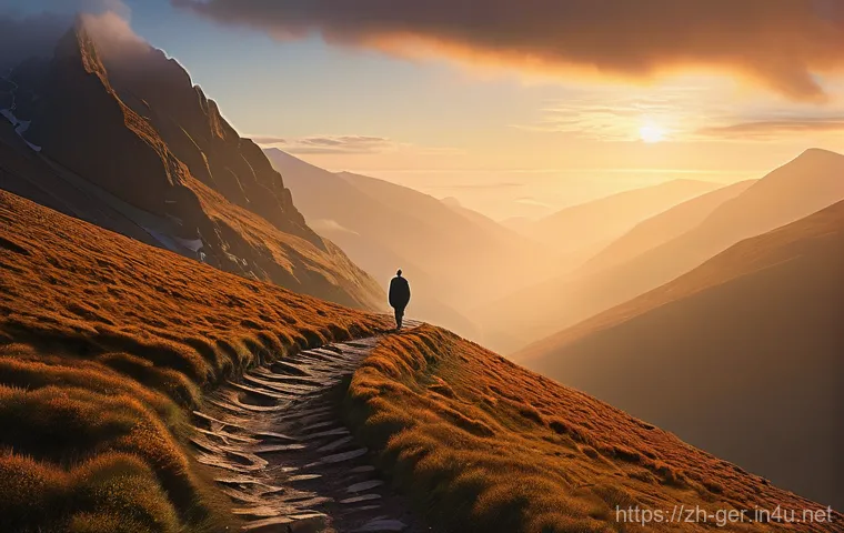 괴테 문학 작품 - **Prompt:** A sensitive young man stands in a vast, golden field of wildflowers at twilight. His sim...